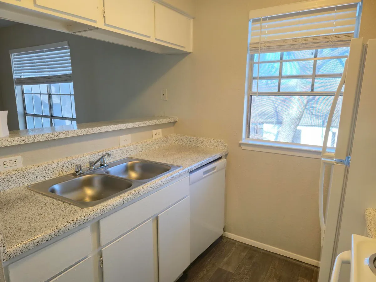 Kitchen with a double stainless-steel sink, built-in dishwasher, and a bright window over the counter