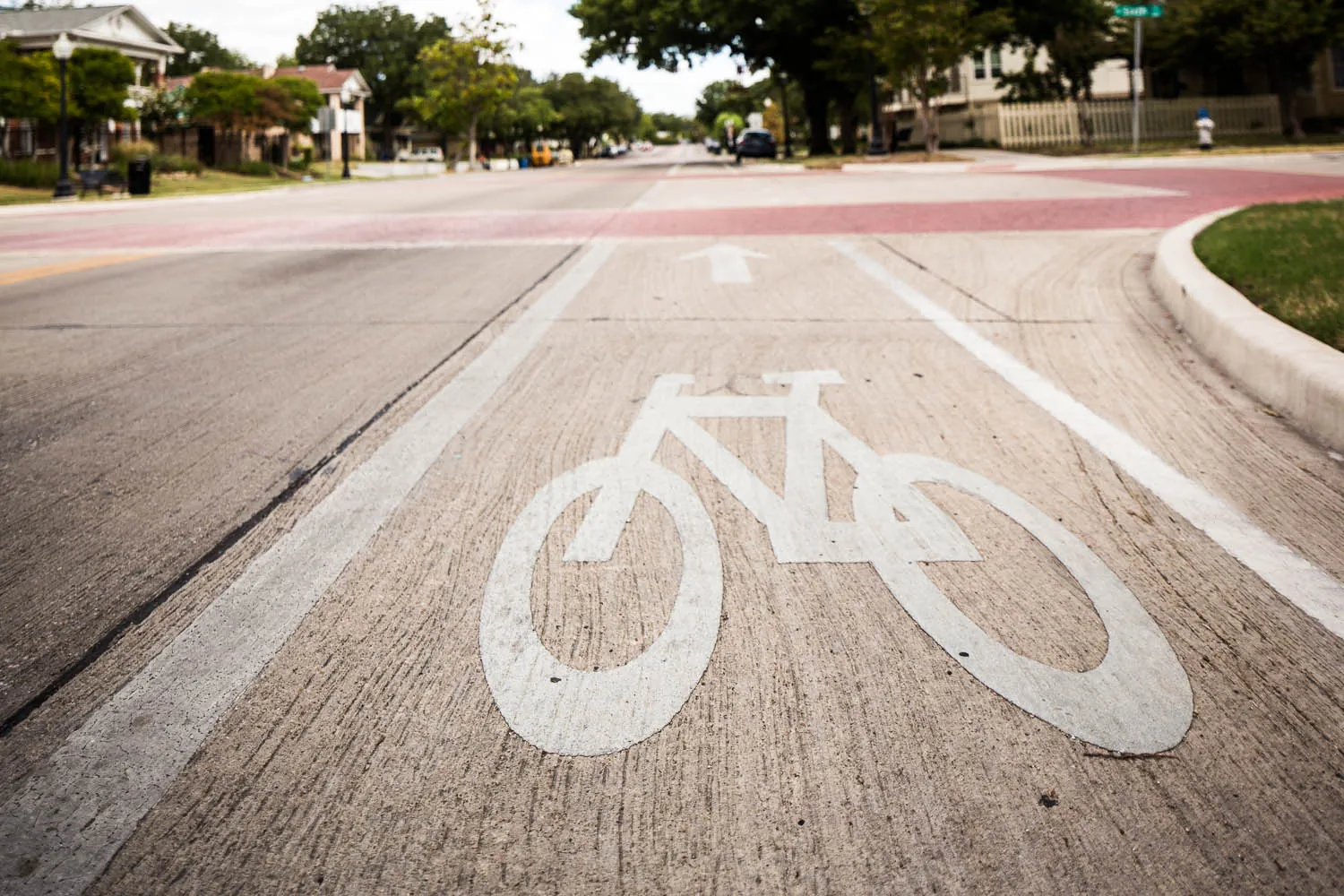 A painted bike lane on a tree-lined North Oak Cliff street