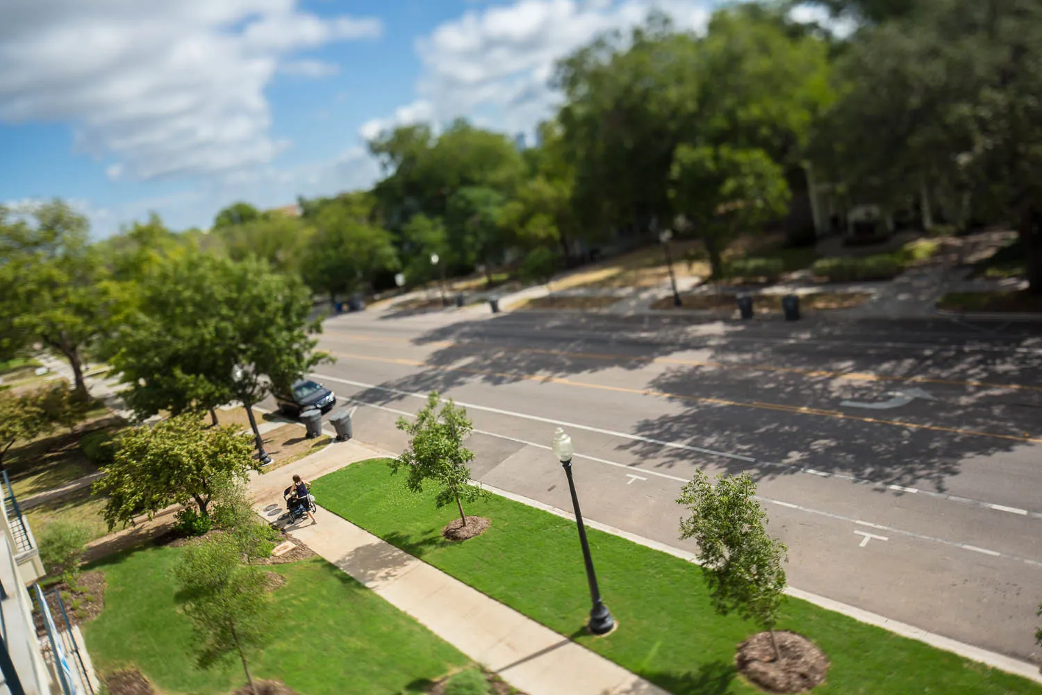 A tree-lined street and park seen from a Regalia balcony