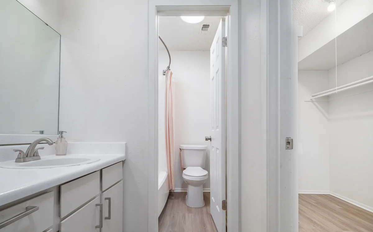 Bathroom with vanity, tub-shower alcove, and an adjoining walk-in closet