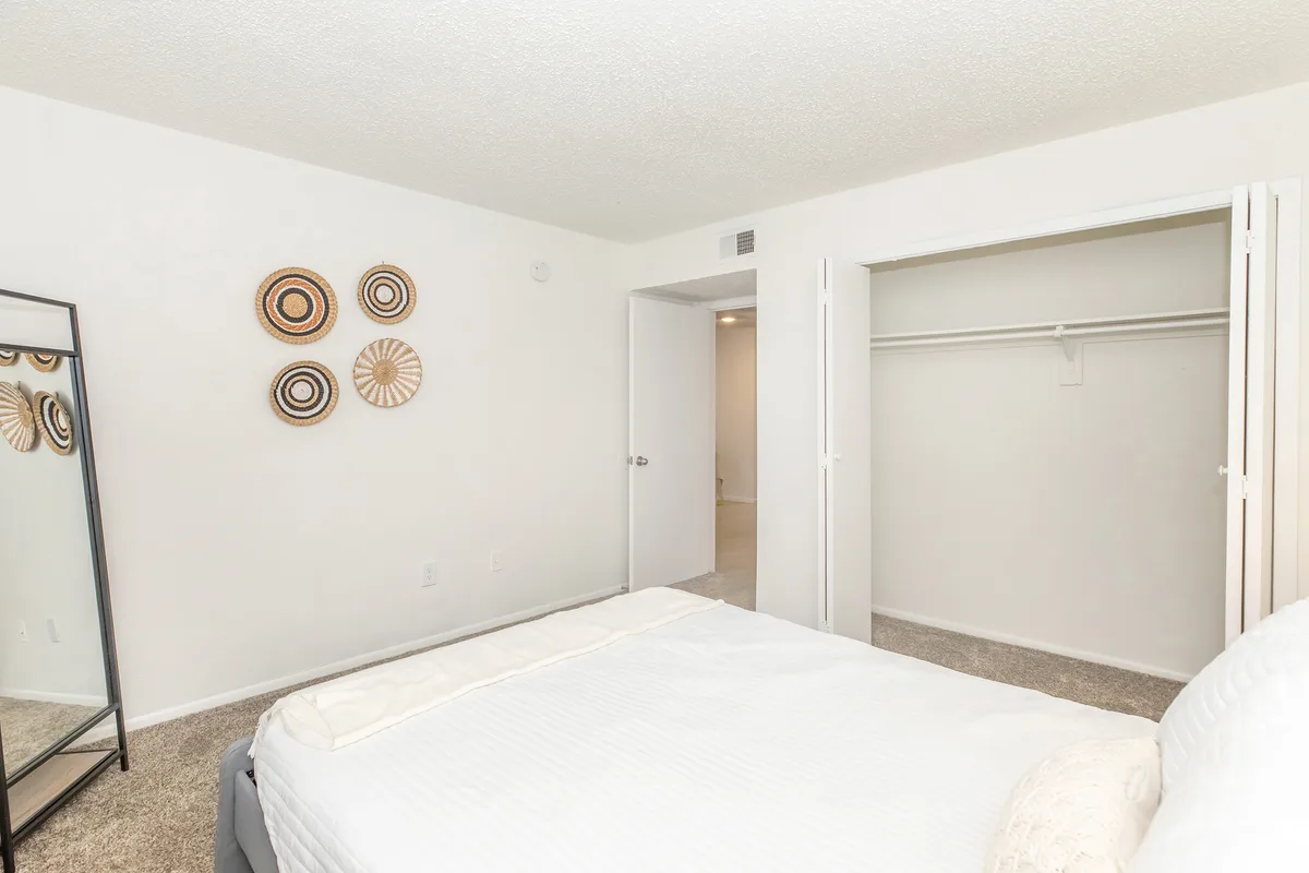 Carpeted bedroom with an open reach-in closet and woven wall decor