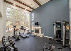 Fitness center with cardio machines, free weights, and a stone fireplace beneath vaulted windows