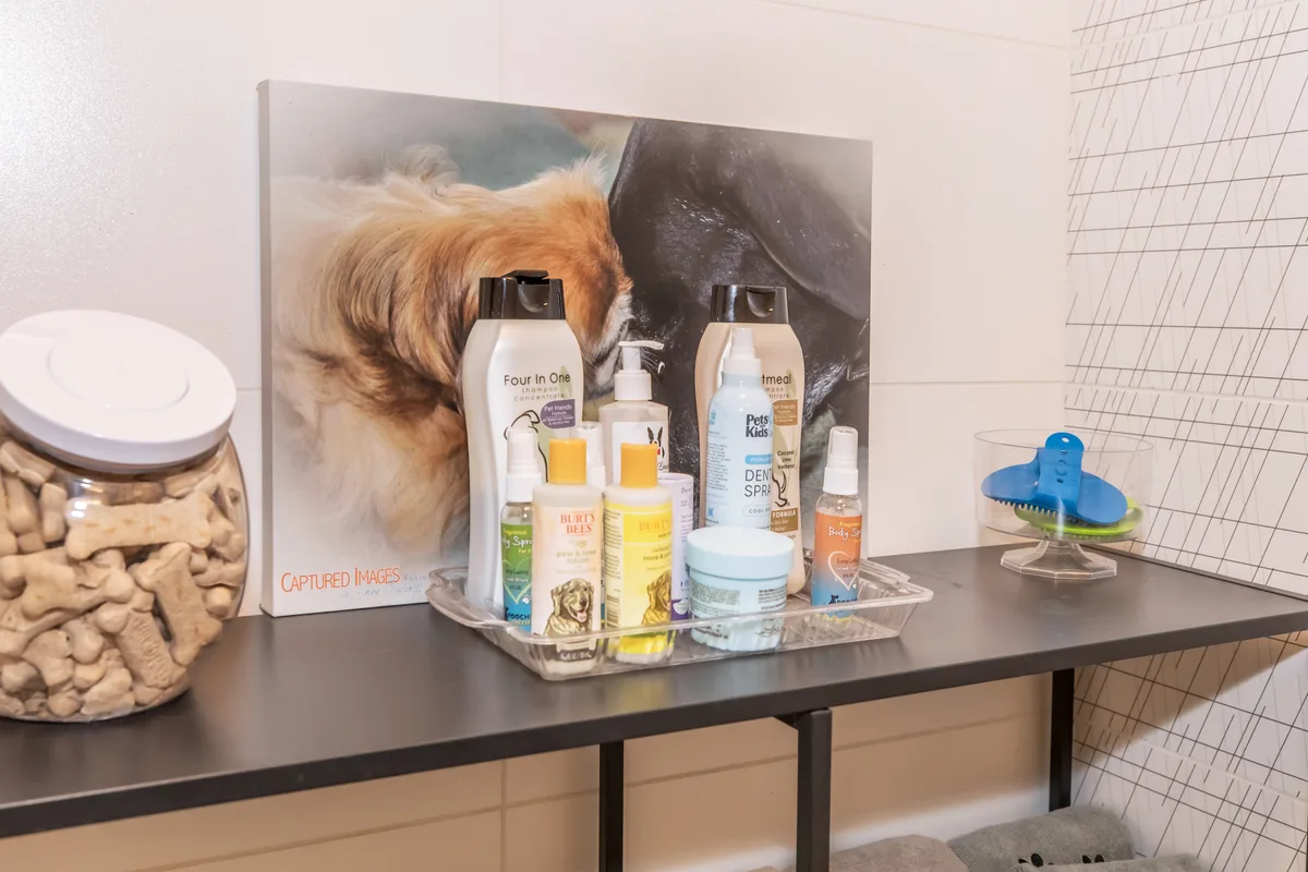 Pet spa grooming station stocked with shampoos, treats and brushes
