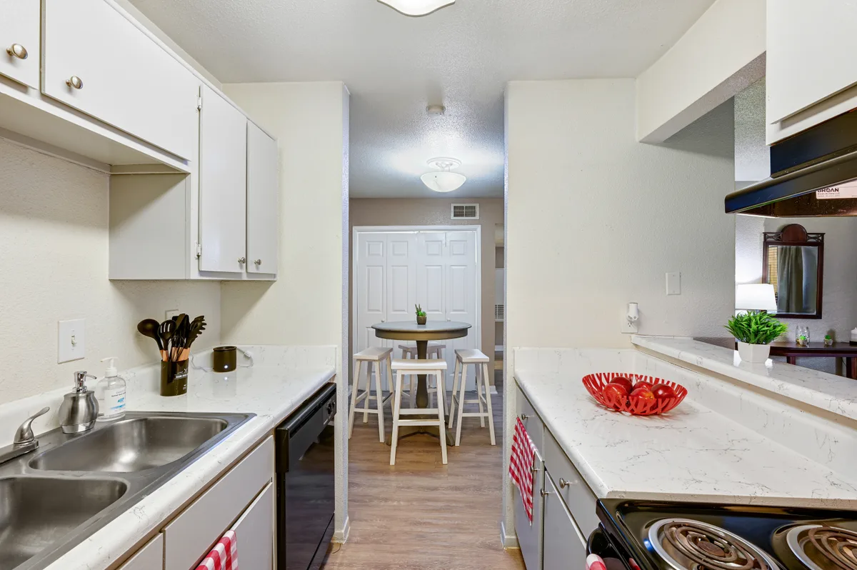 Galley kitchen with a pass-through to the dining nook and stainless double sink