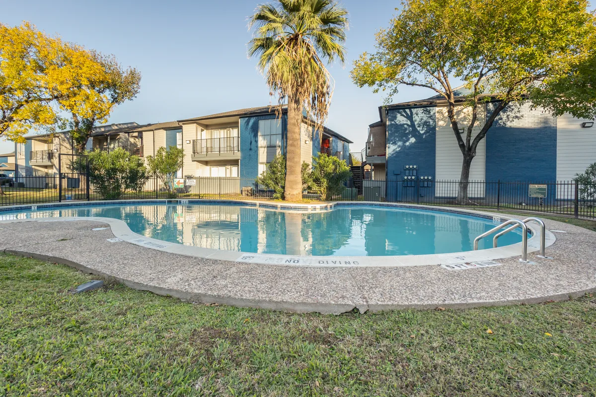 Kidney-shaped swimming pool ringed by a palm tree and two-story apartment buildings